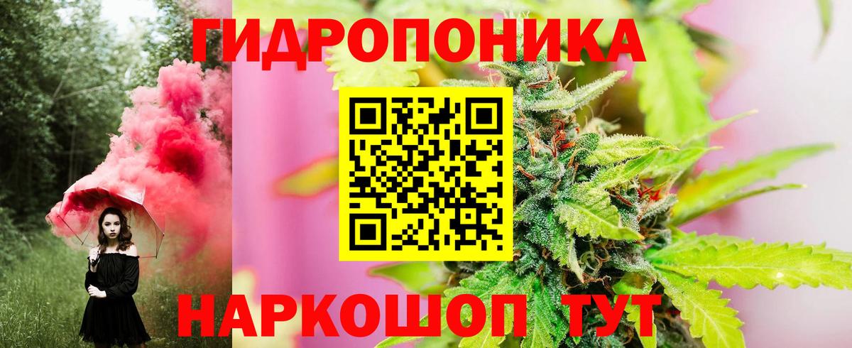 Бошки Шишки Amnesia  Вход с VPN  Тавда  Бошки Шишки THC 21%  Марихуана конопля  Шишки марихуана гибрид 